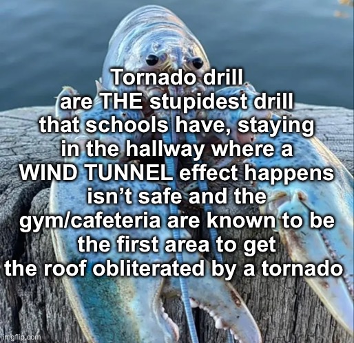 Wdym I’m not allowed to hide in the bathroom that has literally no windows | Tornado drill are THE stupidest drill that schools have, staying in the hallway where a WIND TUNNEL effect happens isn’t safe and the gym/cafeteria are known to be the first area to get the roof obliterated by a tornado | image tagged in the blue lobster | made w/ Imgflip meme maker