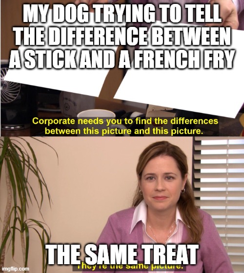 Wow ai has really advanced look at this amazong kjoke its crated ALL COMPUTER? | MY DOG TRYING TO TELL THE DIFFERENCE BETWEEN A STICK AND A FRENCH FRY; THE SAME TREAT | image tagged in there the same image | made w/ Imgflip meme maker