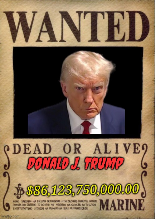 One piece wanted poster template | Donald J. Trump; $86,123,750,000.00 | image tagged in one piece wanted poster template | made w/ Imgflip meme maker