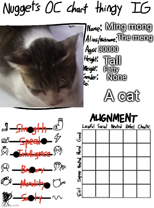 Nugget’s OC Chart Thingy IG | Ming mong; The meng; 30000; Tall; Fatty; None; A cat | image tagged in nugget s oc chart thingy ig | made w/ Imgflip meme maker