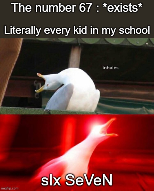Inhaling Seagull  | The number 67 : *exists*; Literally every kid in my school; sIx SeVeN | image tagged in inhaling seagull | made w/ Imgflip meme maker
