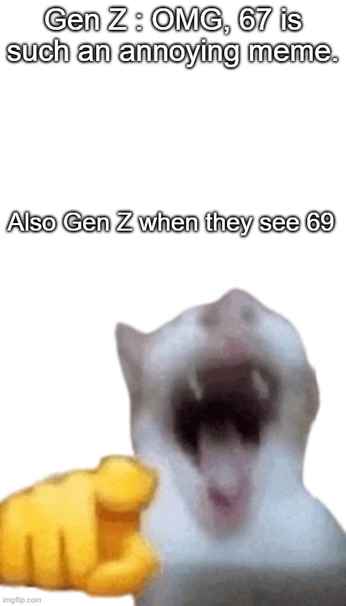 Are we hypocrites for this? | Gen Z : OMG, 67 is such an annoying meme. Also Gen Z when they see 69 | image tagged in laughing cat | made w/ Imgflip meme maker
