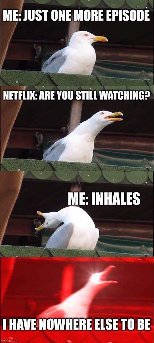 ME: JUST ONE MORE EPISODE; NETFLIX: ARE YOU STILL WATCHING? | ME: JUST ONE MORE EPISODE; NETFLIX: ARE YOU STILL WATCHING? ME: INHALES; I HAVE NOWHERE ELSE TO BE | image tagged in memes,inhaling seagull,netflix and chill,scumbag netflix,netflix,television series | made w/ Imgflip meme maker