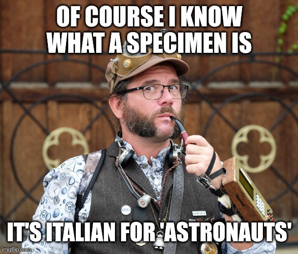 Definitions | OF COURSE I KNOW WHAT A SPECIMEN IS; IT'S ITALIAN FOR 'ASTRONAUTS' | image tagged in posh steampunk man with pipe,joke,puns,steampunk | made w/ Imgflip meme maker