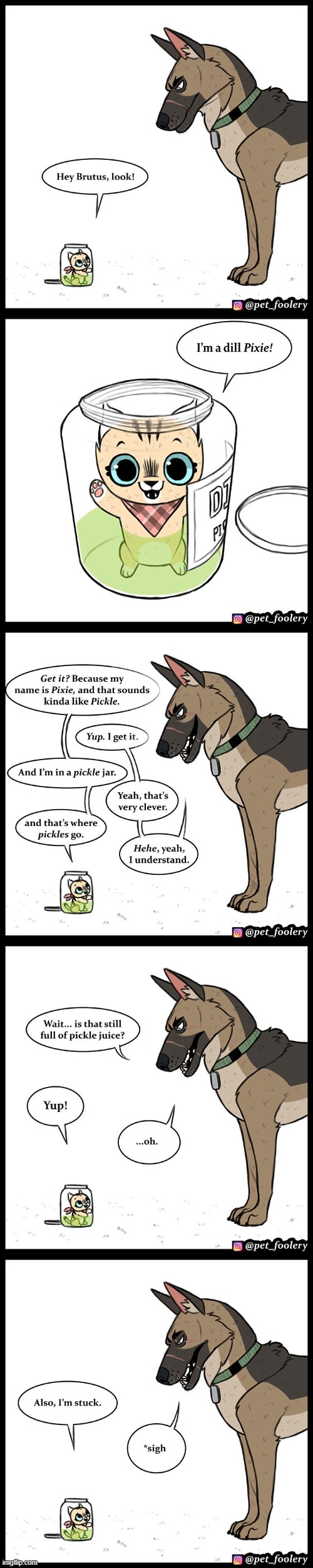 image tagged in dog,cat,pickle jar,pickle juice,stuck,oof | made w/ Imgflip meme maker