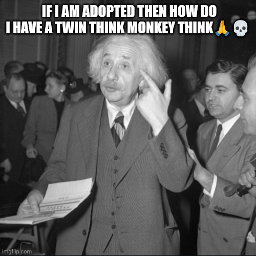 Albert Einstein Caption this meme | IF I AM ADOPTED THEN HOW DO I HAVE A TWIN THINK MONKEY THINK🙏💀 | image tagged in albert einstein caption this meme | made w/ Imgflip meme maker