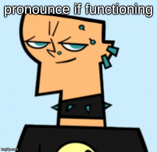 duncan | pronounce if functioning | image tagged in duncan | made w/ Imgflip meme maker