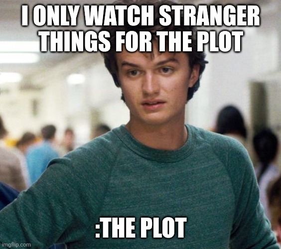 Steve Stranger Things | I ONLY WATCH STRANGER THINGS FOR THE PLOT; :THE PLOT | image tagged in steve stranger things | made w/ Imgflip meme maker