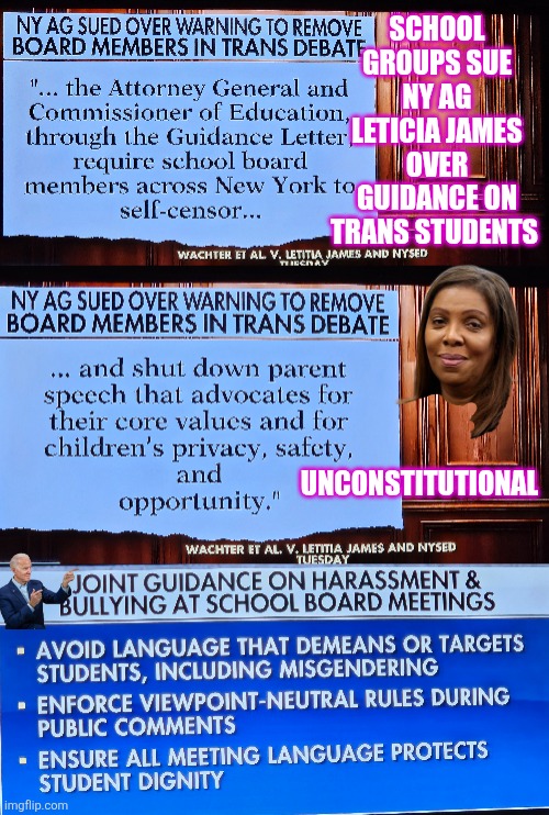 School groups sue NY AG Leticia James over guidance on trans students | SCHOOL GROUPS SUE NY AG LETICIA JAMES OVER GUIDANCE ON TRANS STUDENTS; UNCONSTITUTIONAL | image tagged in letitia james,freedom of speech,girls,transgender,new york,unconstitutional | made w/ Imgflip meme maker