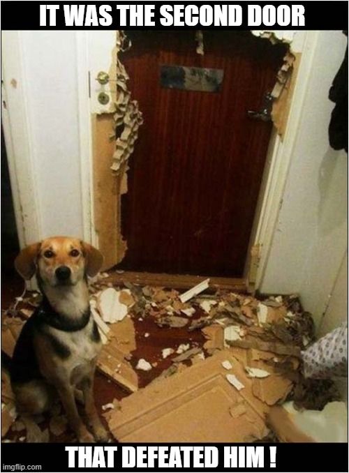 What Is This Sorcery ? | IT WAS THE SECOND DOOR; THAT DEFEATED HIM ! | image tagged in dogs,destroy,door,sorcery | made w/ Imgflip meme maker