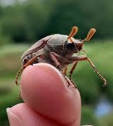 boog | made w/ Imgflip meme maker