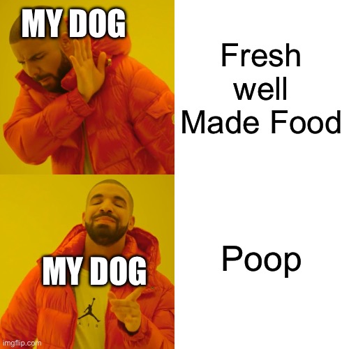 My Dog Be Like: | MY DOG; Fresh well Made Food; Poop; MY DOG | image tagged in memes,drake hotline bling,funny,dogs,poop,why | made w/ Imgflip meme maker