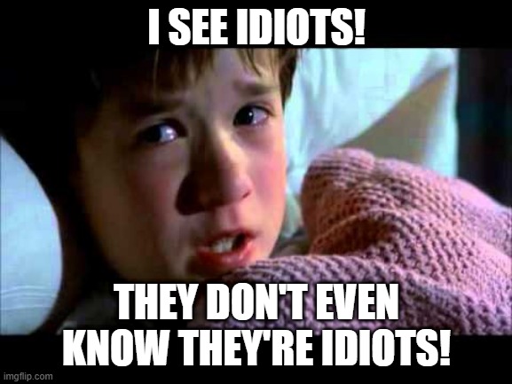 I SEE IDIOTS | I SEE IDIOTS! THEY DON'T EVEN KNOW THEY'RE IDIOTS! | image tagged in i see dead people | made w/ Imgflip meme maker