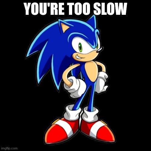 You're Too Slow Sonic Meme | YOU'RE TOO SLOW | image tagged in memes,you're too slow sonic | made w/ Imgflip meme maker