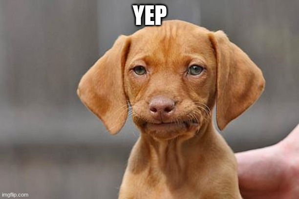 Dissapointed puppy | YEP | image tagged in dissapointed puppy | made w/ Imgflip meme maker