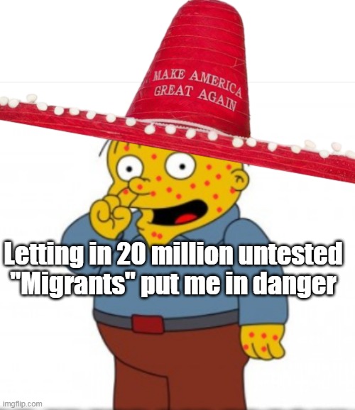 Letting in 20 million untested "Migrants" put me in danger | made w/ Imgflip meme maker