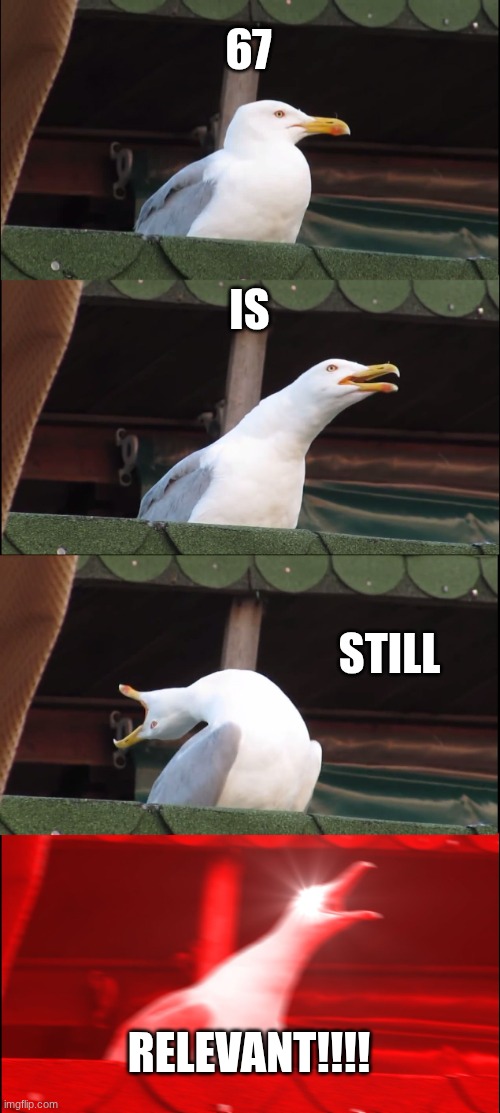 Inhaling Seagull Meme | 67; IS; STILL; RELEVANT!!!! | image tagged in memes,inhaling seagull,67 | made w/ Imgflip meme maker