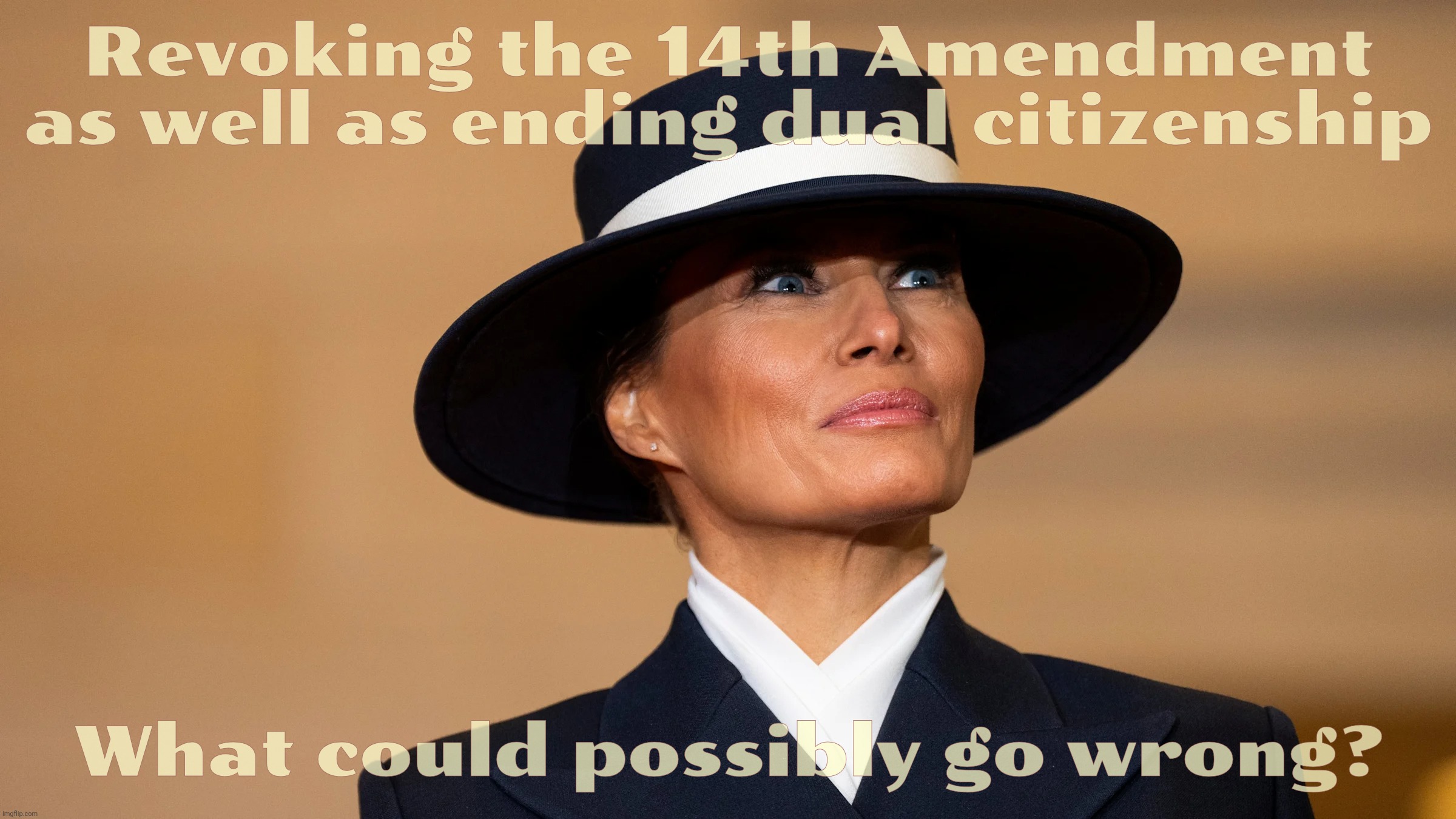 Revoking the 14th Amendment as well as ending dual citizenship What could possibly go wrong? | made w/ Imgflip meme maker