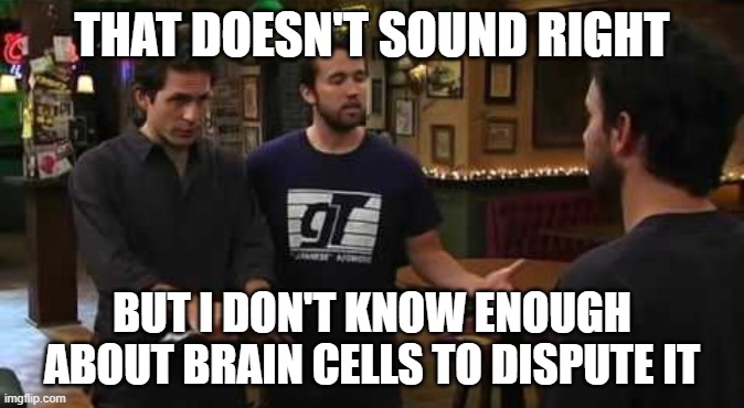 don't know enough to dispute it | THAT DOESN'T SOUND RIGHT; BUT I DON'T KNOW ENOUGH ABOUT BRAIN CELLS TO DISPUTE IT | image tagged in don't know enough to dispute it | made w/ Imgflip meme maker