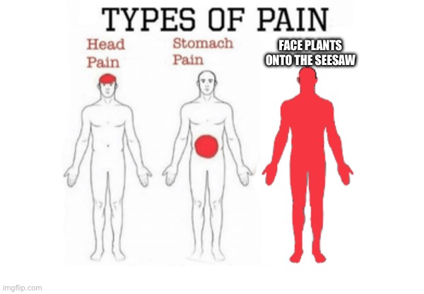 Types of Pain | FACE PLANTS ONTO THE SESAW | image tagged in types of pain | made w/ Imgflip meme maker