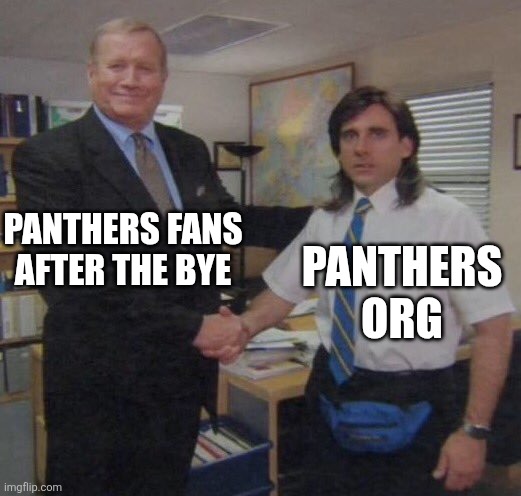 the office congratulations | PANTHERS FANS AFTER THE BYE; PANTHERS ORG | image tagged in the office congratulations | made w/ Imgflip meme maker