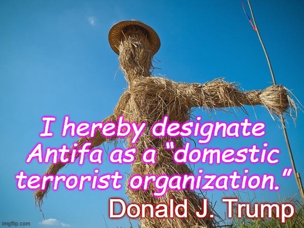 I hereby designate Antifa as a “domestic terrorist organization.” Donald J. Trump | image tagged in strawman | made w/ Imgflip meme maker