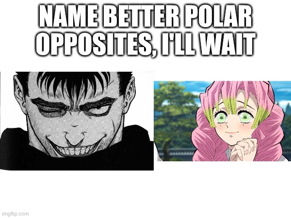 Go ahead. | NAME BETTER POLAR OPPOSITES, I'LL WAIT | image tagged in guts,mitsuri adores | made w/ Imgflip meme maker