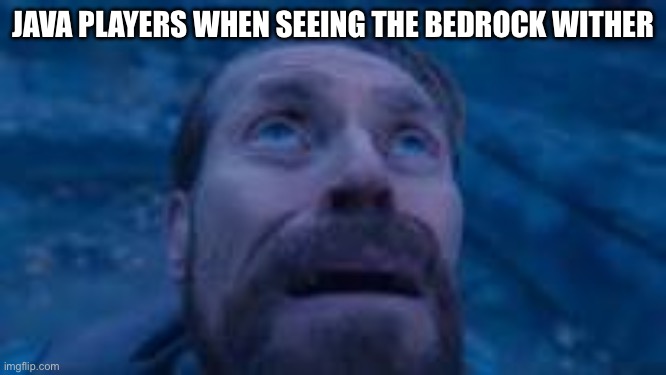man looking up | JAVA PLAYERS WHEN SEEING THE BEDROCK WITHER | image tagged in man looking up | made w/ Imgflip meme maker
