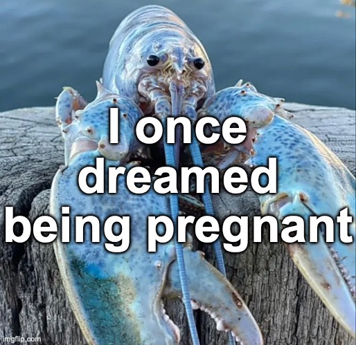 The Blue Lobster | I once dreamed being pregnant | image tagged in the blue lobster | made w/ Imgflip meme maker