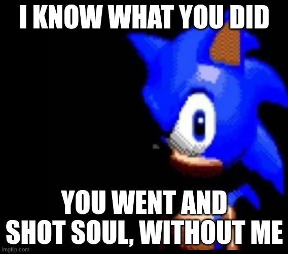 bring the entire community next time (maybe just the reasonable ones) | I KNOW WHAT YOU DID; YOU WENT AND SHOT SOUL, WITHOUT ME | image tagged in sonic stares | made w/ Imgflip meme maker