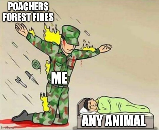 Animals are worth it | POACHERS FOREST FIRES; ME; ANY ANIMAL | image tagged in soldier protecting sleeping child | made w/ Imgflip meme maker