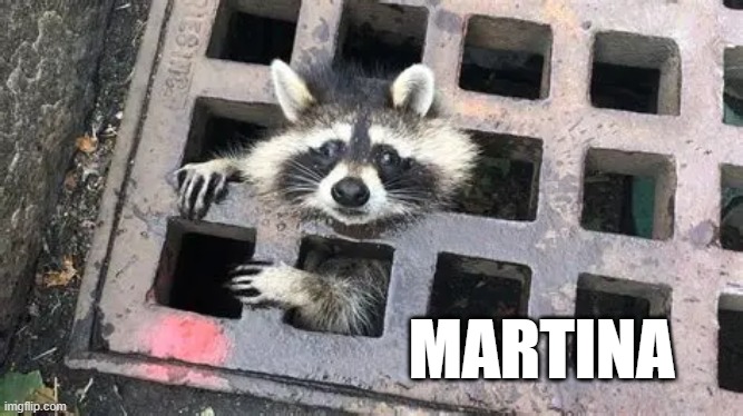 martina | MARTINA | image tagged in stuck | made w/ Imgflip meme maker
