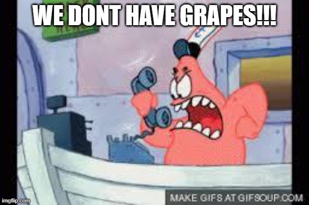 no this is patrick | WE DONT HAVE GRAPES!!! | image tagged in no this is patrick | made w/ Imgflip meme maker