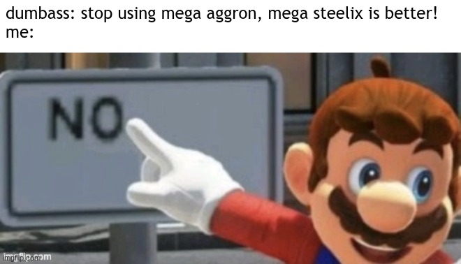 when you go to it and you can't go through it and you can't knock it down you know that you found, THE WALL! THE WALL! THE WALL! | dumbass: stop using mega aggron, mega steelix is better!
me: | image tagged in mario no sign,the wall,pokemon,aggron,mega aggron,legends z-a | made w/ Imgflip meme maker