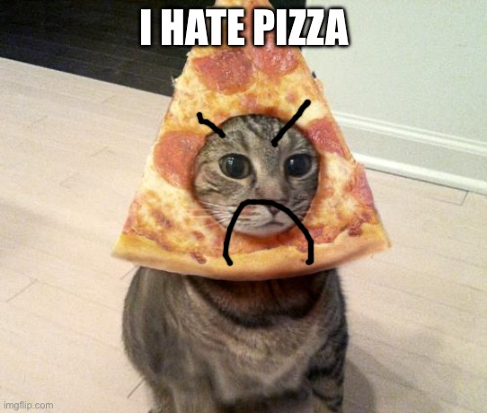 pizza cat | I HATE PIZZA | image tagged in pizza cat | made w/ Imgflip meme maker