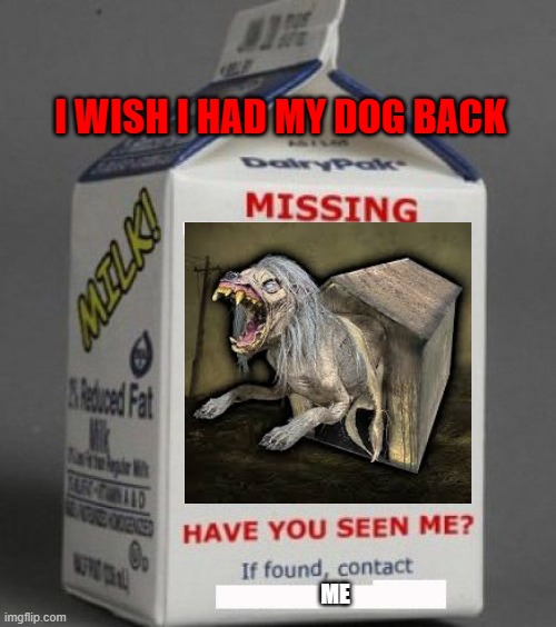 oi | I WISH I HAD MY DOG BACK; ME | image tagged in milk carton | made w/ Imgflip meme maker
