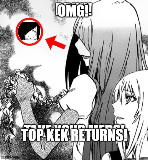 OMG! BRUH! TAKE YOUR MEDS! TOP KEK RETURNS! | image tagged in memes,schizo,meds | made w/ Imgflip meme maker