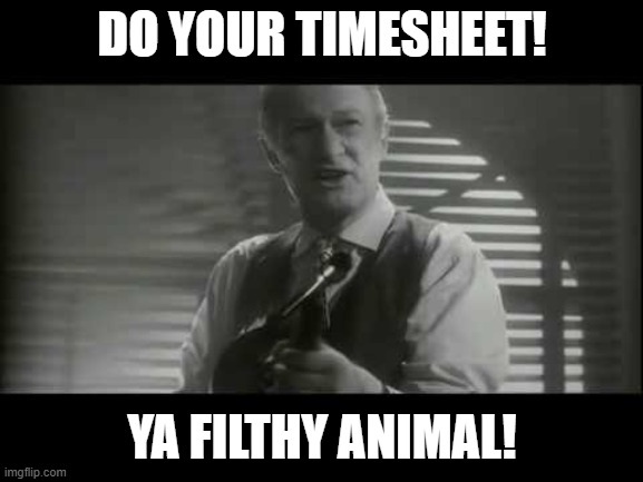Do your Timesheet! Ya Filthy Animal! | DO YOUR TIMESHEET! YA FILTHY ANIMAL! | image tagged in ya filthy animal,home alone timesheet,timesheet reminder,home alone | made w/ Imgflip meme maker