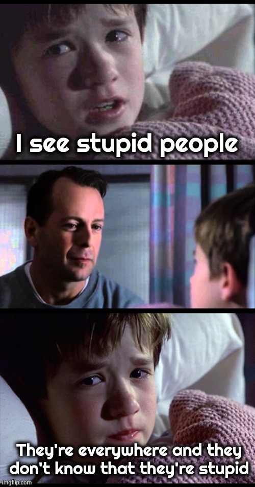 I see dead people 3-frame | I see stupid people They're everywhere and they don't know that they're stupid | image tagged in i see dead people 3-frame | made w/ Imgflip meme maker