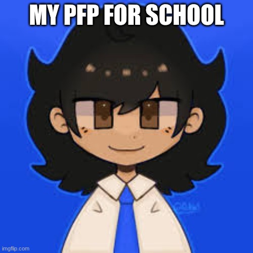 pfp | MY PFP FOR SCHOOL | image tagged in pfp | made w/ Imgflip meme maker