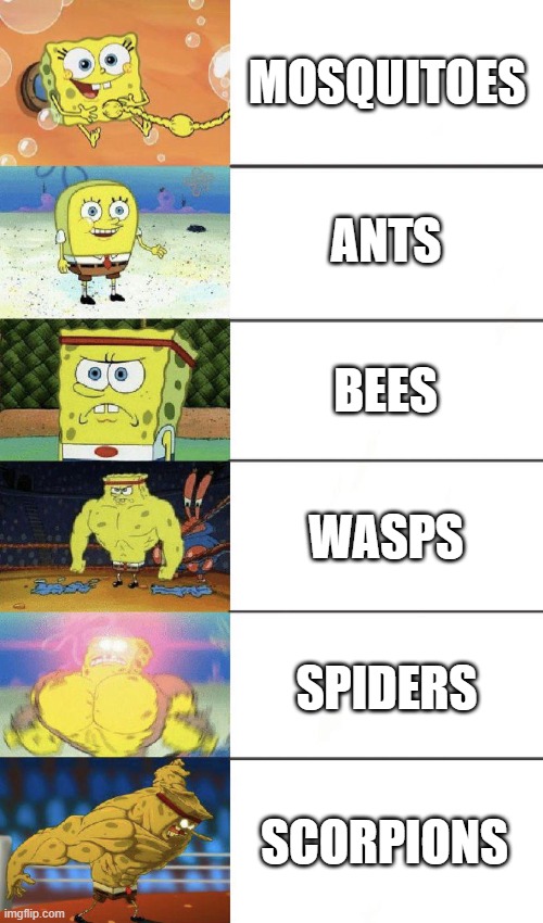 here's how dangerous they are | MOSQUITOES; ANTS; BEES; WASPS; SPIDERS; SCORPIONS | image tagged in buff spongebob,spongebob strong,memes,funny,6 panel,bugs | made w/ Imgflip meme maker
