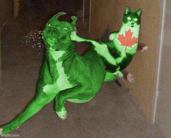RayCat kicking RayDog | image tagged in raycat kicking raydog | made w/ Imgflip meme maker