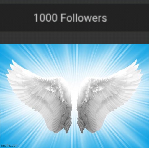 NO WAY | image tagged in angels,tifflamemez,tiffla | made w/ Imgflip meme maker