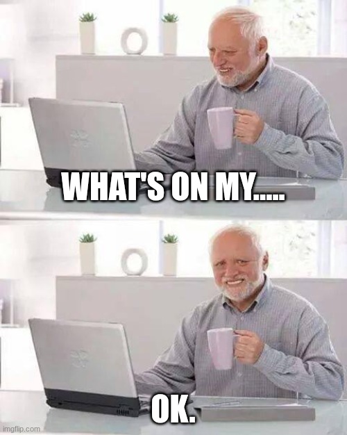 ok | WHAT'S ON MY..... OK. | image tagged in memes,hide the pain harold | made w/ Imgflip meme maker