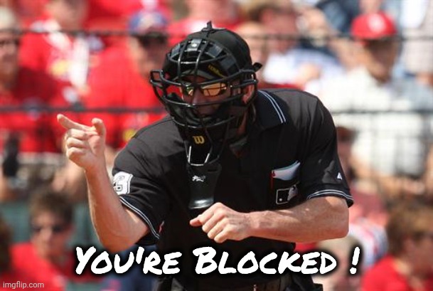 Umpire | You're Blocked ! | image tagged in umpire | made w/ Imgflip meme maker
