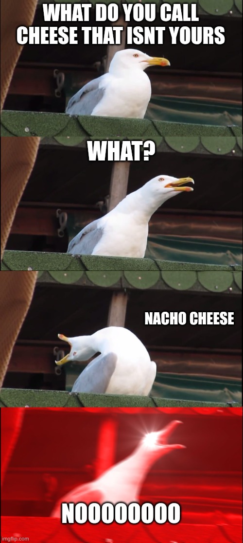 Inhaling Seagull | WHAT DO YOU CALL CHEESE THAT ISNT YOURS; WHAT? NACHO CHEESE; NOOOOOOOO | image tagged in memes,inhaling seagull | made w/ Imgflip meme maker