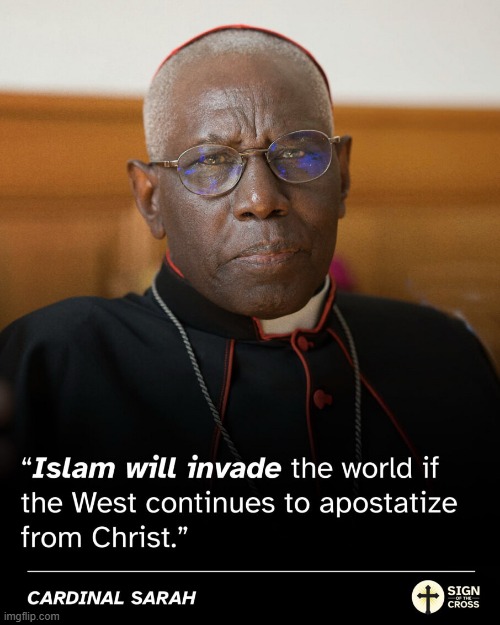 We've Been Warned | image tagged in islam,cardinal sarah | made w/ Imgflip meme maker