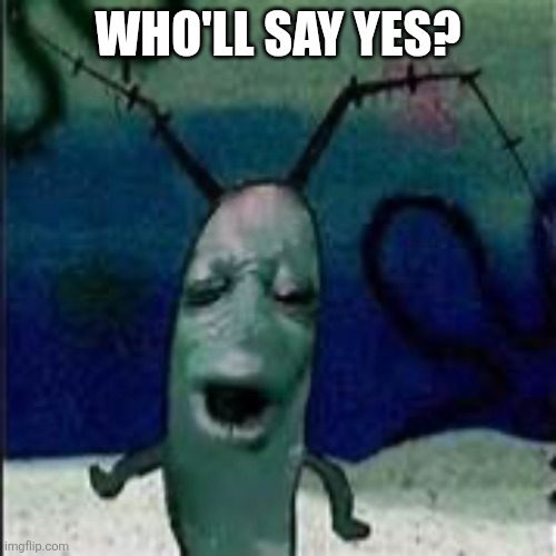 Plankton gets served | WHO'LL SAY YES? | image tagged in plankton gets served | made w/ Imgflip meme maker