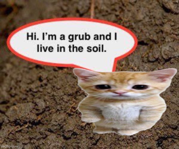 grub | image tagged in grub | made w/ Imgflip meme maker