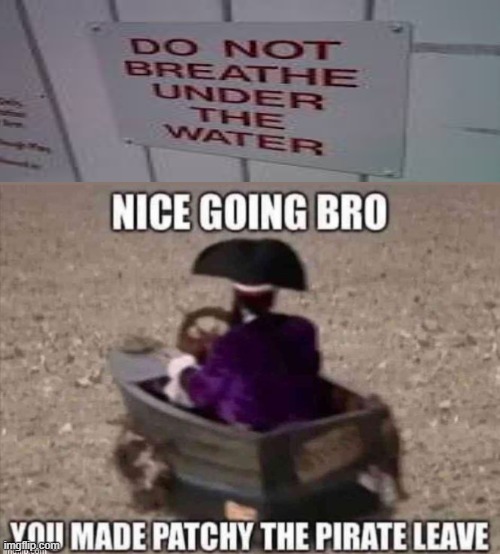 No swimming? EXCUSE ME?! | image tagged in you made patchy the pirate leave | made w/ Imgflip meme maker